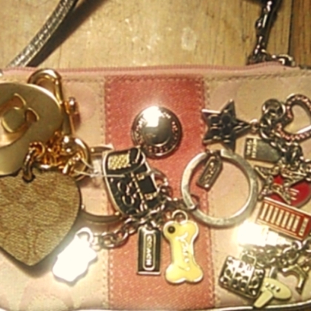 Authentic COACH FOB KEYs Nwt  hearts free wristlet